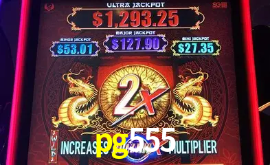 Experiência VIP pg555